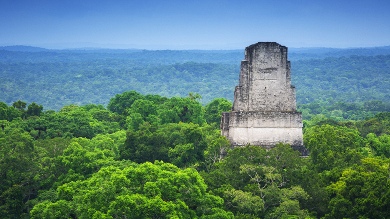 A stone structure rising out of Guatemala's green forest in Tikal