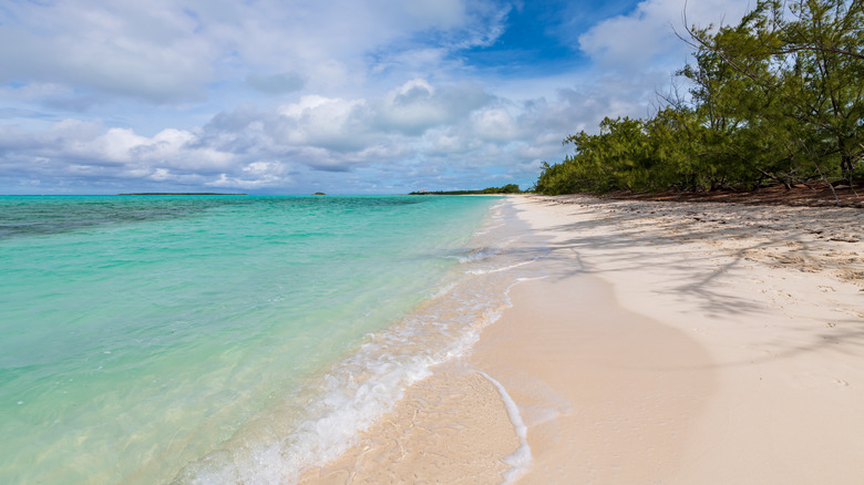 One of the stunning beaches along the coast of Coco Plum Beach