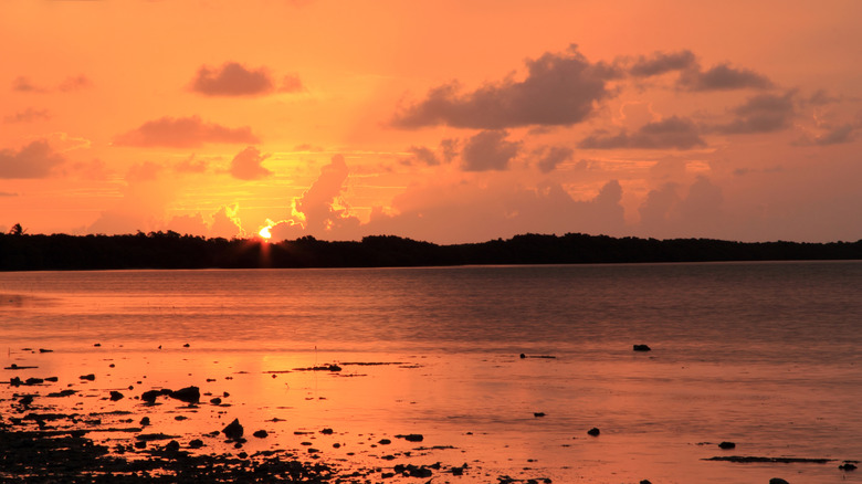 Sunrise at Long Key State Park, located in the Florida Keys on Long Key Island