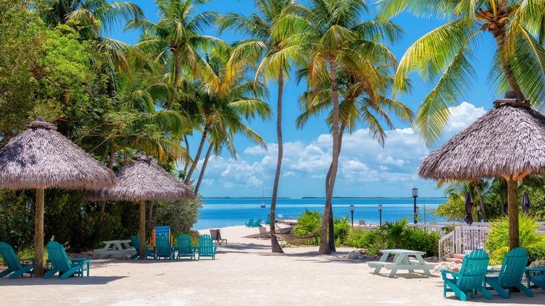 A Beach setup in Key Largo, in the Florida Keys featuring umbrellas, picnic tables, and beach chairs