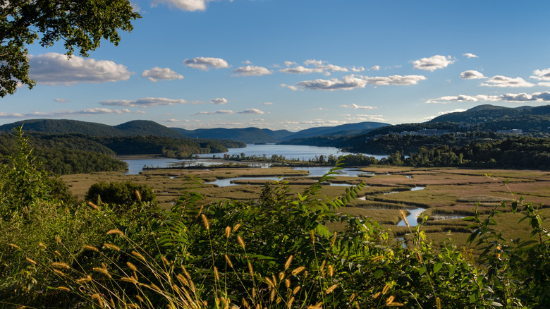 A view of Constitution Island and marshes