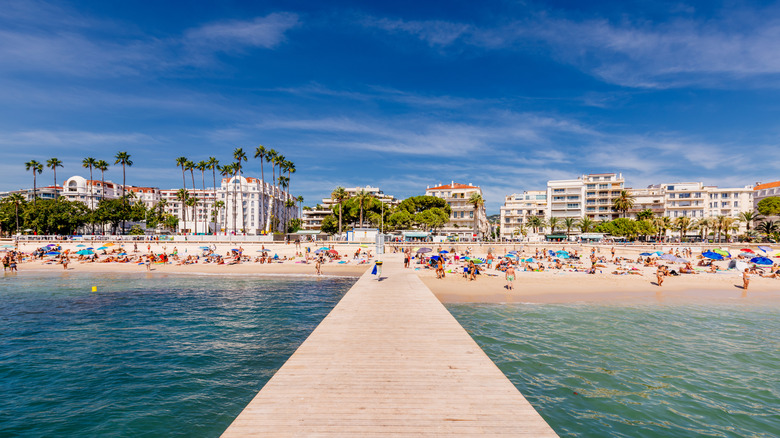 Cannes beach with sunbathers and palm trees in France