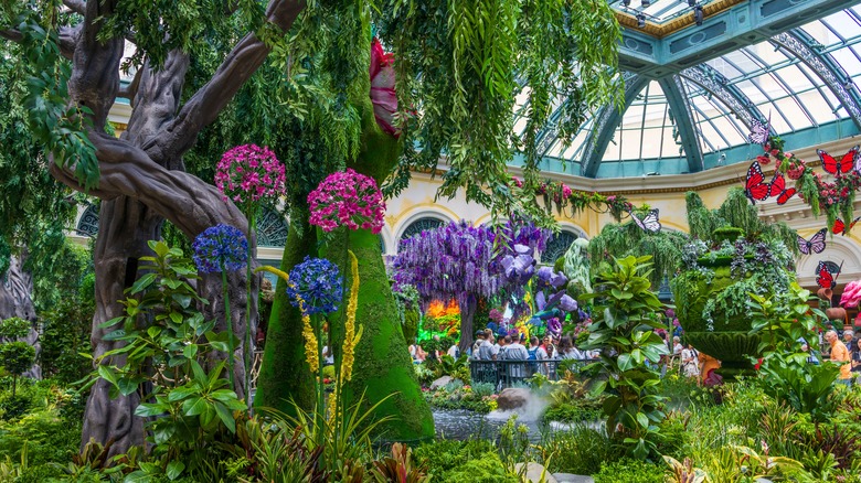 Plants at the Bellagio Conservatory