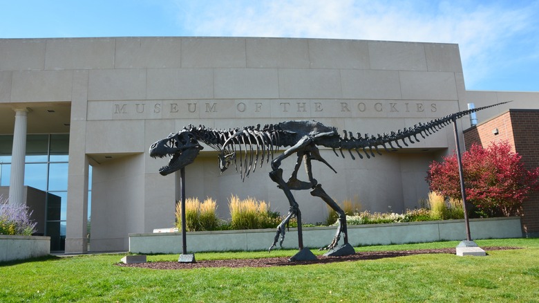 Bozeman's Museum of the Rockies