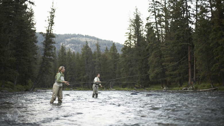 Fly fishing in Montana