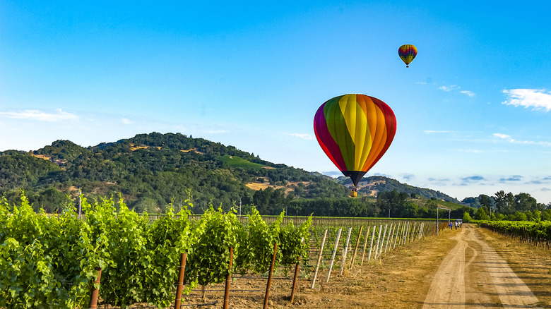 Hot air balloons over Napa Valley vineyards