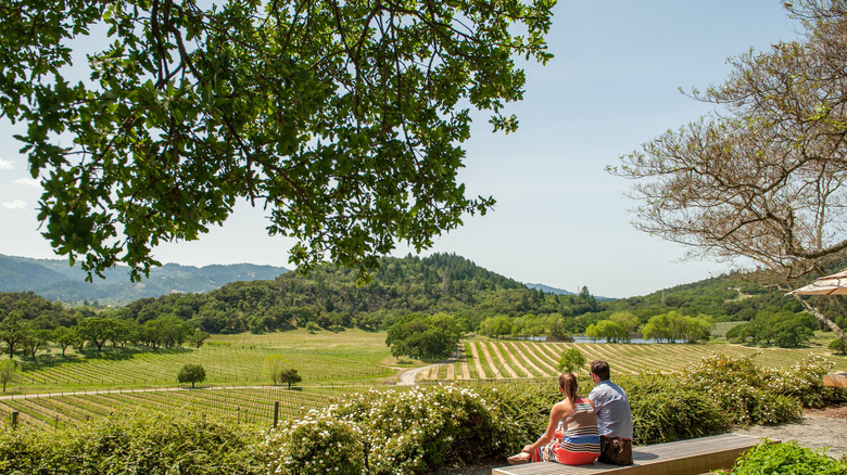 A couple looking at Napa's landscape