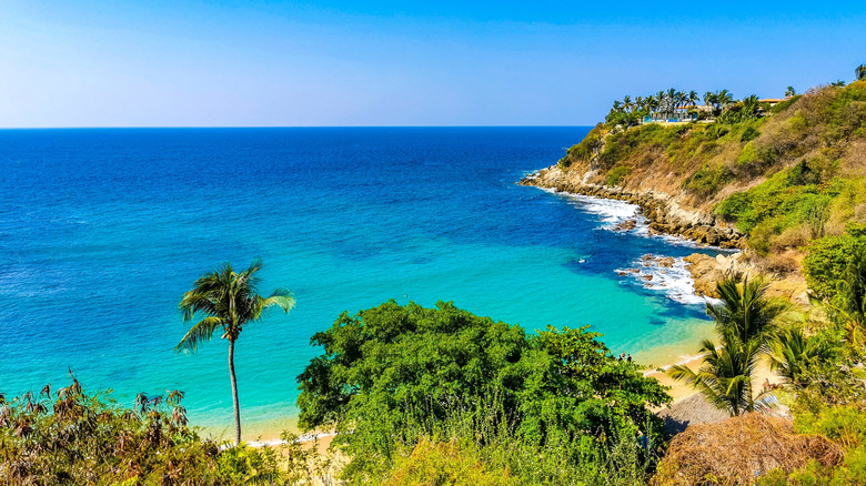 Playa Carrizalillo in Puerto Escondido