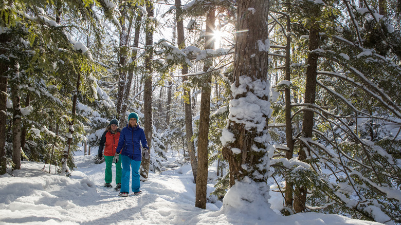 Friends snowshoeing in Ontario, Canda