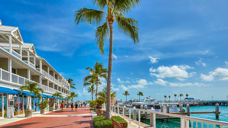 Palm trees Key West pier