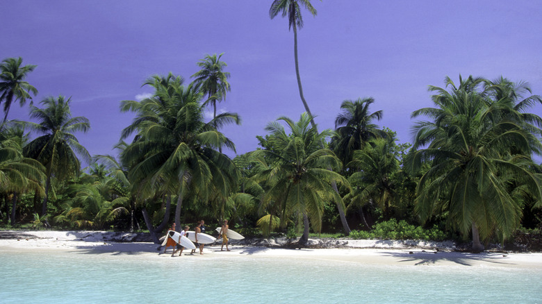 People holding surfboards on lush Maldives island