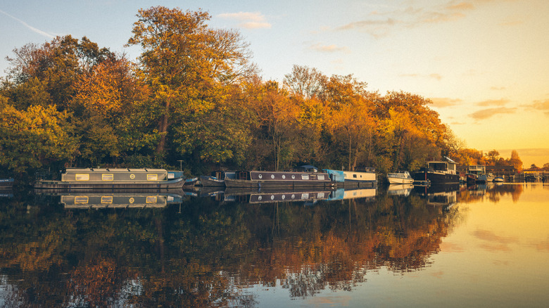 Houseboats on the river Thames