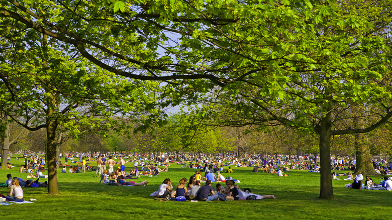 People lounging in Hyde Park