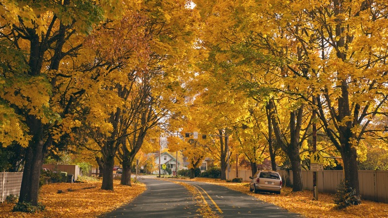 Salem, Massachusetts during fall