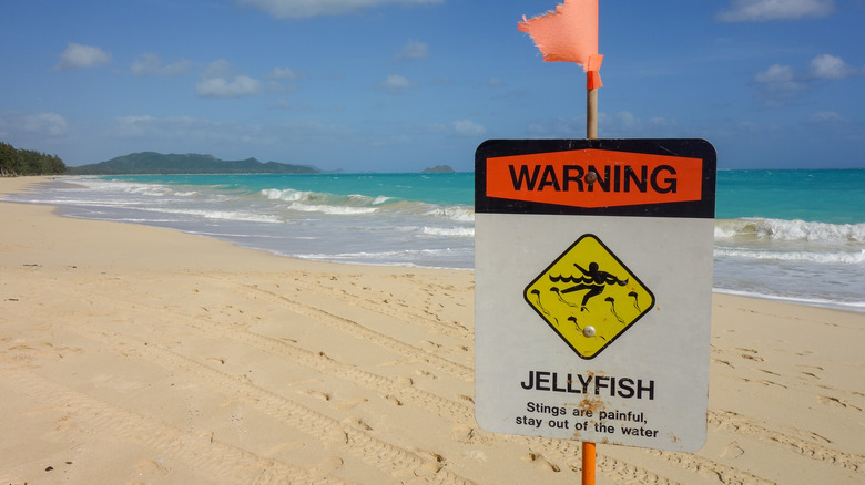 sign on beach warning about jellyfish