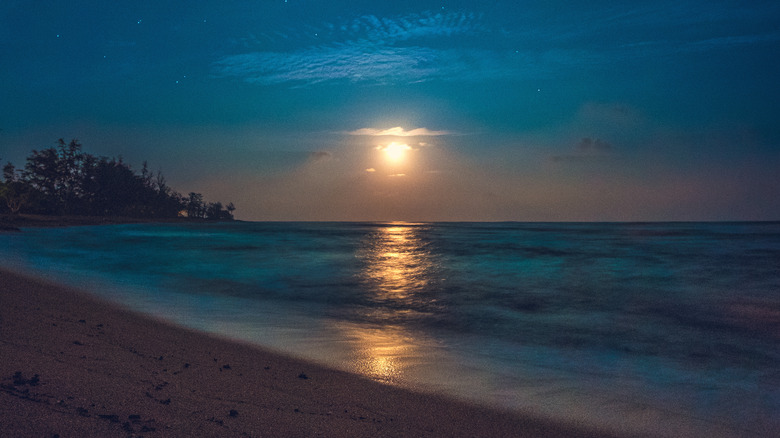 moon over hawaii beach
