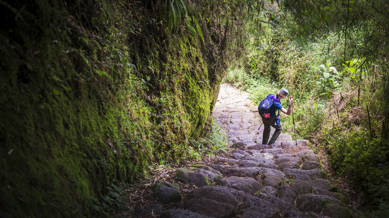 Hiker on the Inca Trail in the Sacred Valley of the Inca, Peru