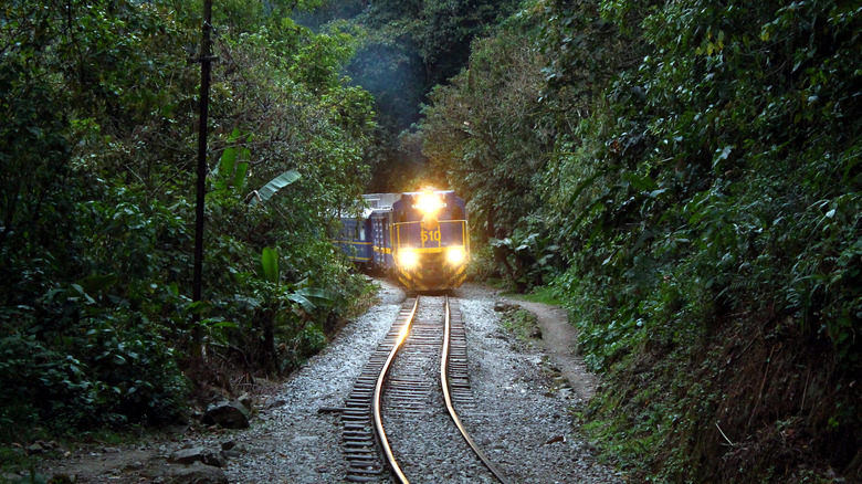 Train to Machu Picchu traveling through the Peruvian forests near Cusco