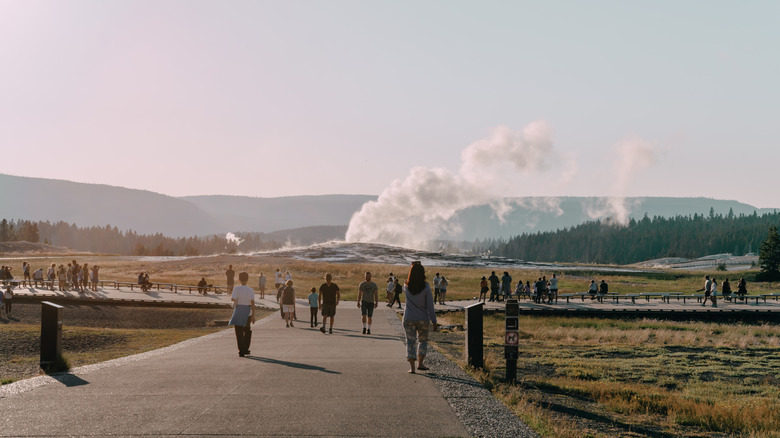 Crowds of visitors in Yellowstone