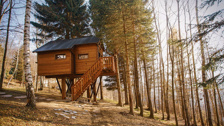 remote treehouse in the woods