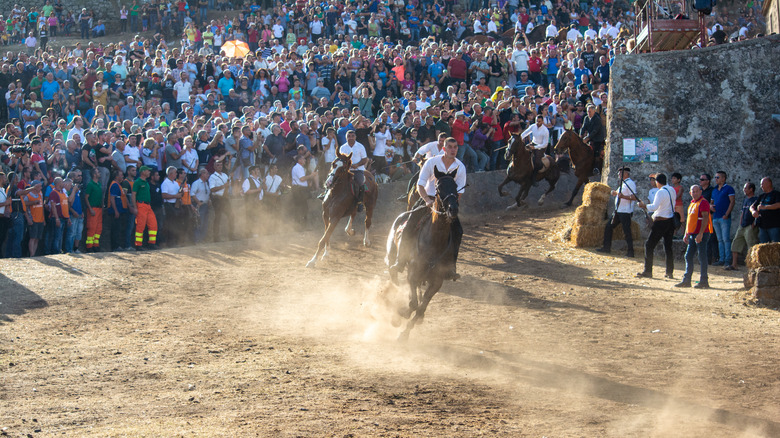 Rider at the Ardia festival in Sardinia