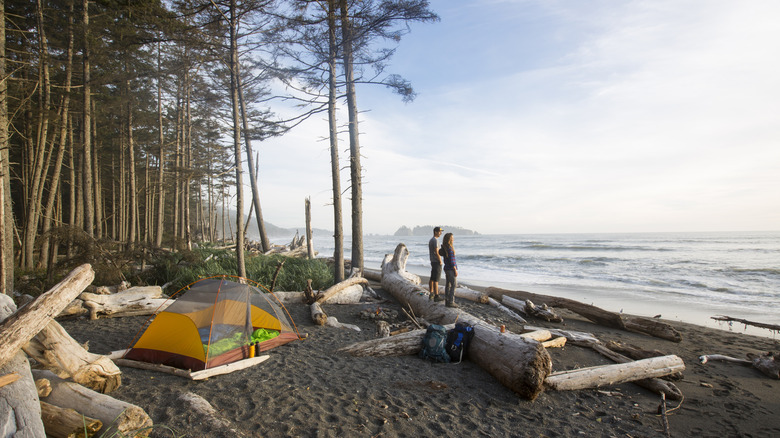 Campers at Olympic National Park near Seattle