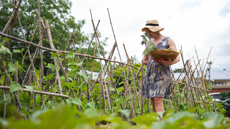 Traveler working in rural setting