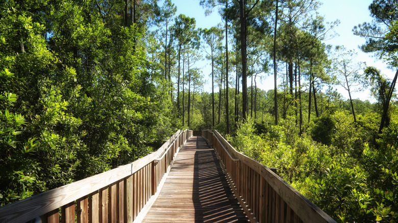 Tibet-Butler Preserve in Orlando, Florida