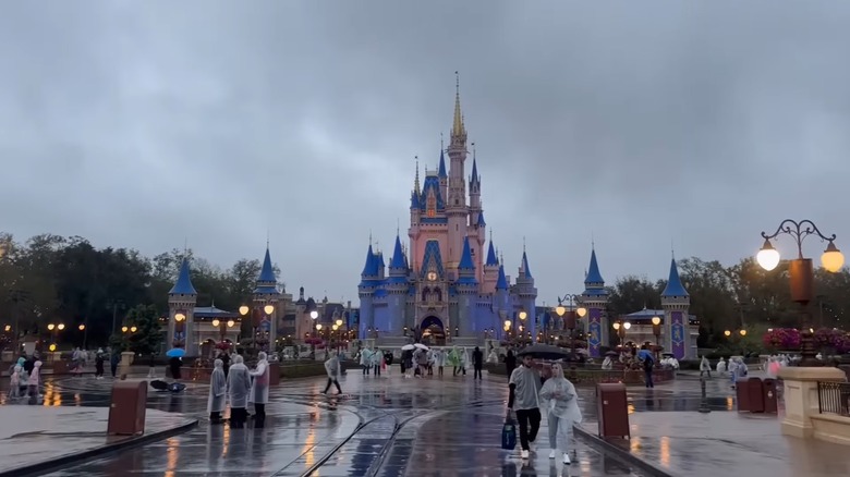 Disney World visitors walking in rain