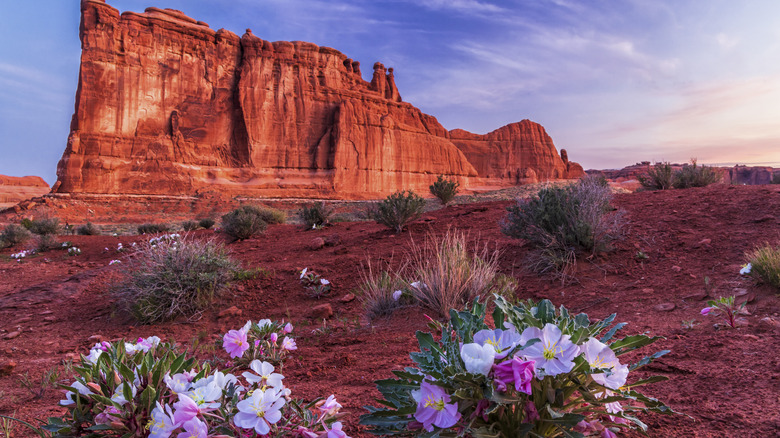 Arches National Park