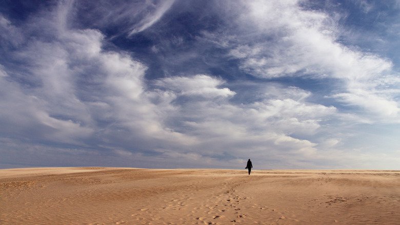 Person walking on sand dunes at Jockey's Ridge State Park