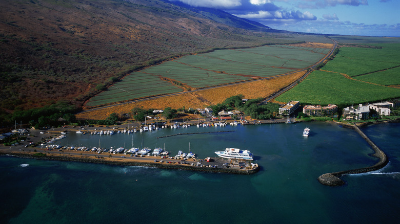 Aerial view of Maalaea Harbor