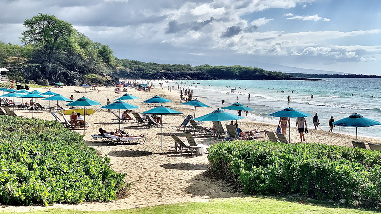 A busy day at Hapuna Beach