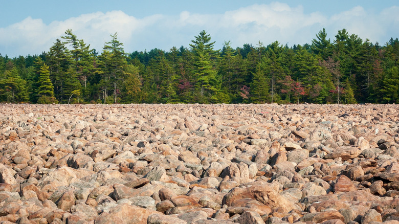 The boulder field at Pennsylvania's Hickory Run State Park