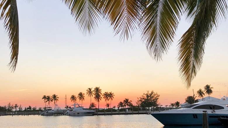 Palm fronds frame a photograph of boats docking at Jost Van Dyke in The British Virgin Islands, with a sunset sky in the background.