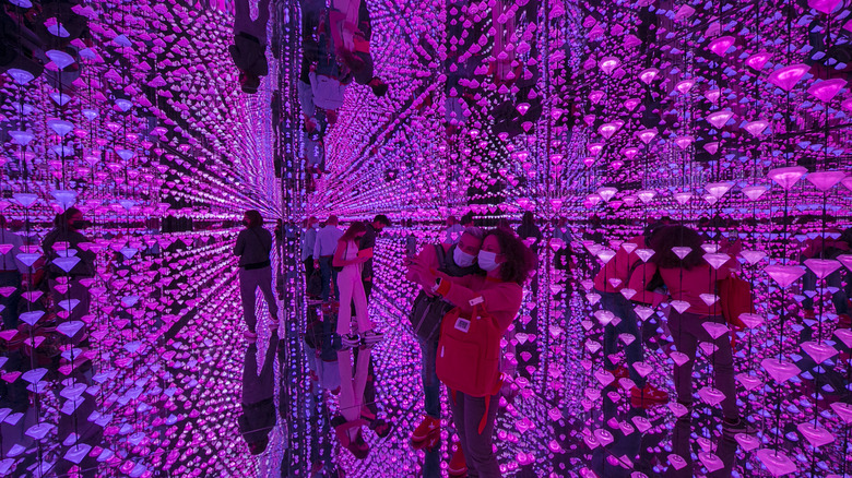 museum goers in the Diamond Matrix