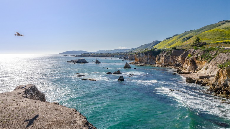 Pismo Beach in California