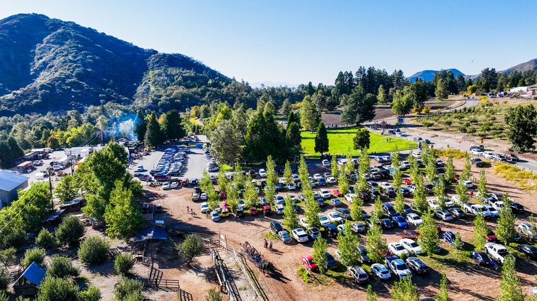 Aerial shot of Oak Glen apple orchards