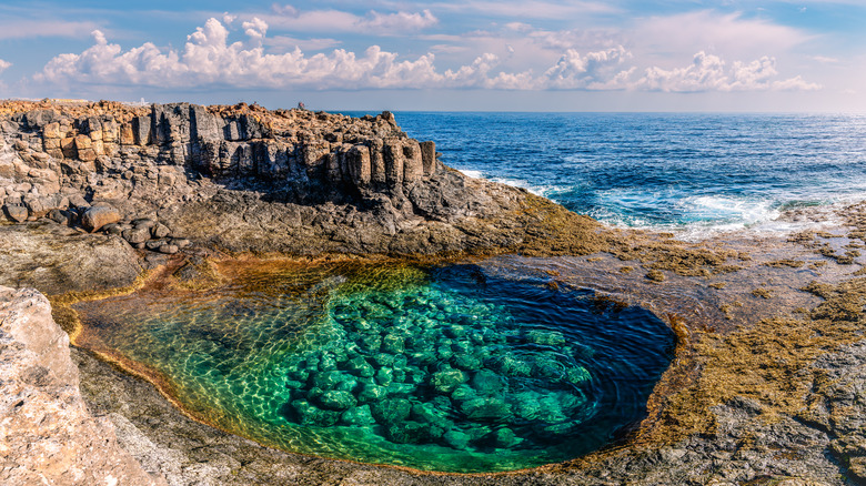 Natural pool with green water in rugged beach rock formation with crashing waves