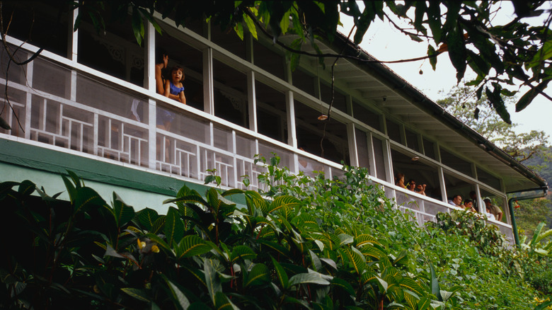 A veranda at the Asa Wright Nature Centre