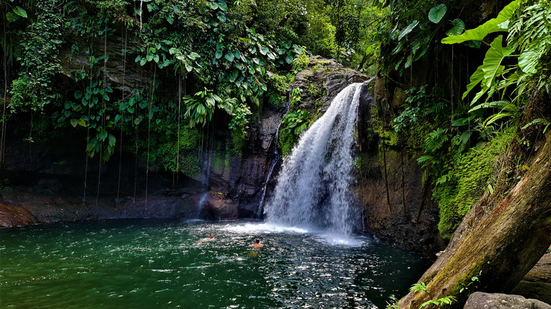 Saut de la Lézarde waterfall, Guadeloupe Islands