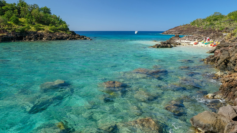 Clear water and spectacular coral reefs in Guadeloupe