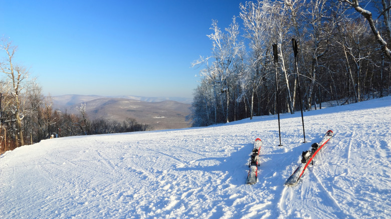 Skis and poles at the top of Belleayre Mountain.