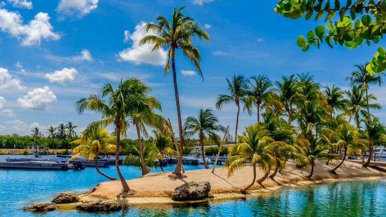 Man-made island at Camana Bay in the Caribbean