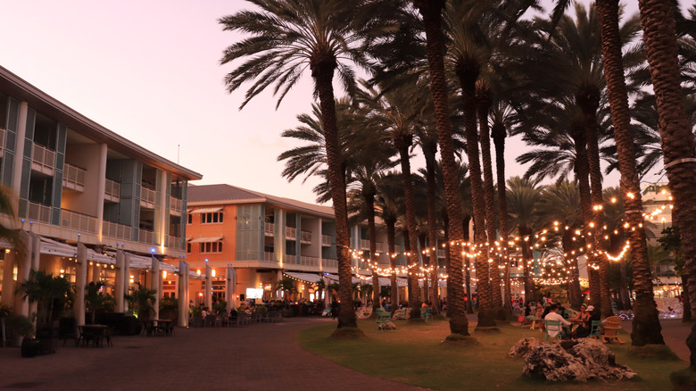 Camana Bay buildings and trees with lights at dusk