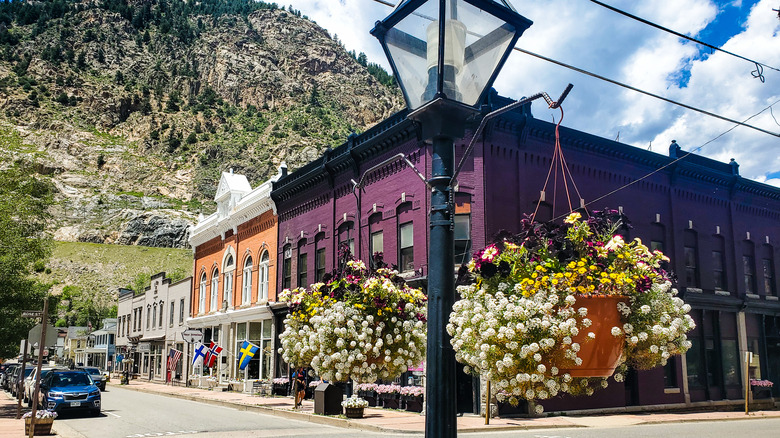 Purple building and flowers on a street corner in Georgetown, colorado