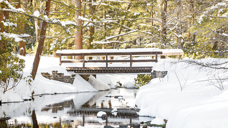 bridge in millburg, PA in the snow