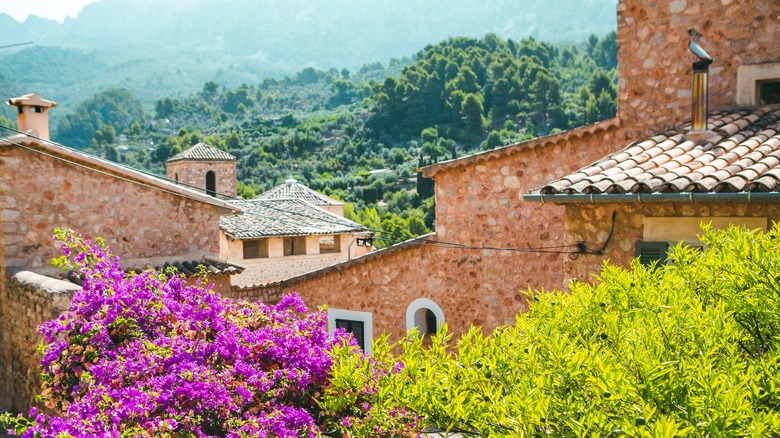 Old buildings and lush, purple and yellow flowers in Fornalutx