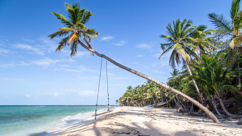 A swing on a beach on Little Corn Island in Nicaragua