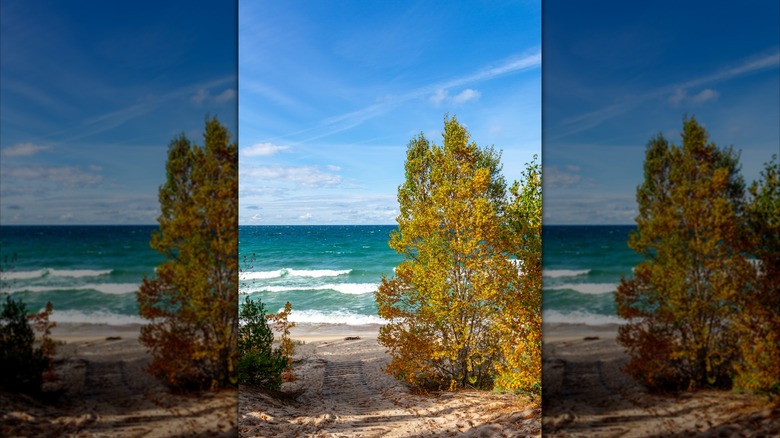 Bright blue Michigan beach scene